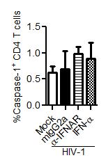 Splenocytes from mock (n=2) or infected (n=4) humanized mice were cultured with IL-2 (20 u/ml) in vitro in the presence of