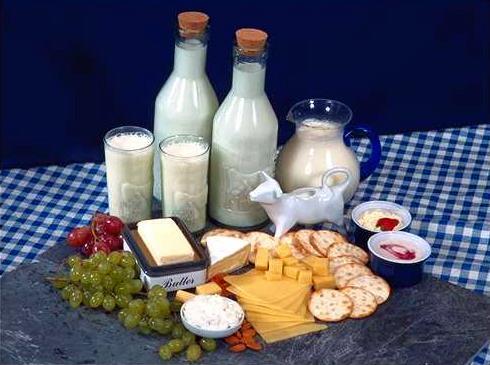 Dairy Group - Important sources of proteins, vitamins and minerals - Rich in calcium -