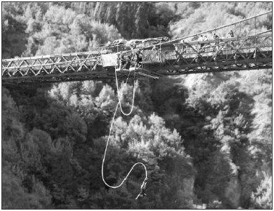 Q5. Tom is doing a bungee jump from a bridge. He is attached to one end of an elastic rope. The other end of the rope is attached to the bridge. Tom jumps from the bridge.