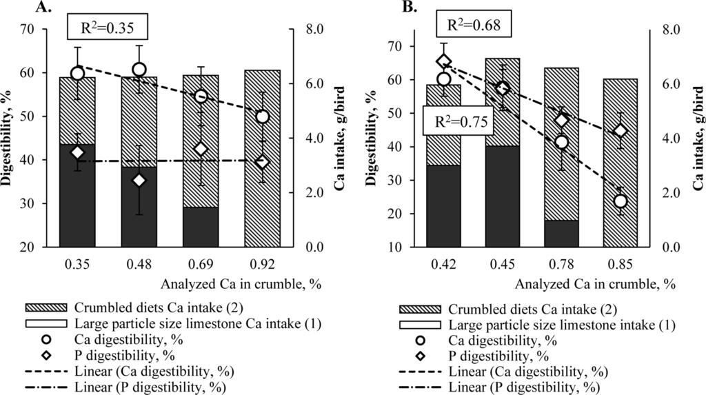 Figure 2. Effect of Ca concentration in the crumbled diet on ileal Ca and P digestibilities when large particle size limestone was provided separately (mean ± SD).