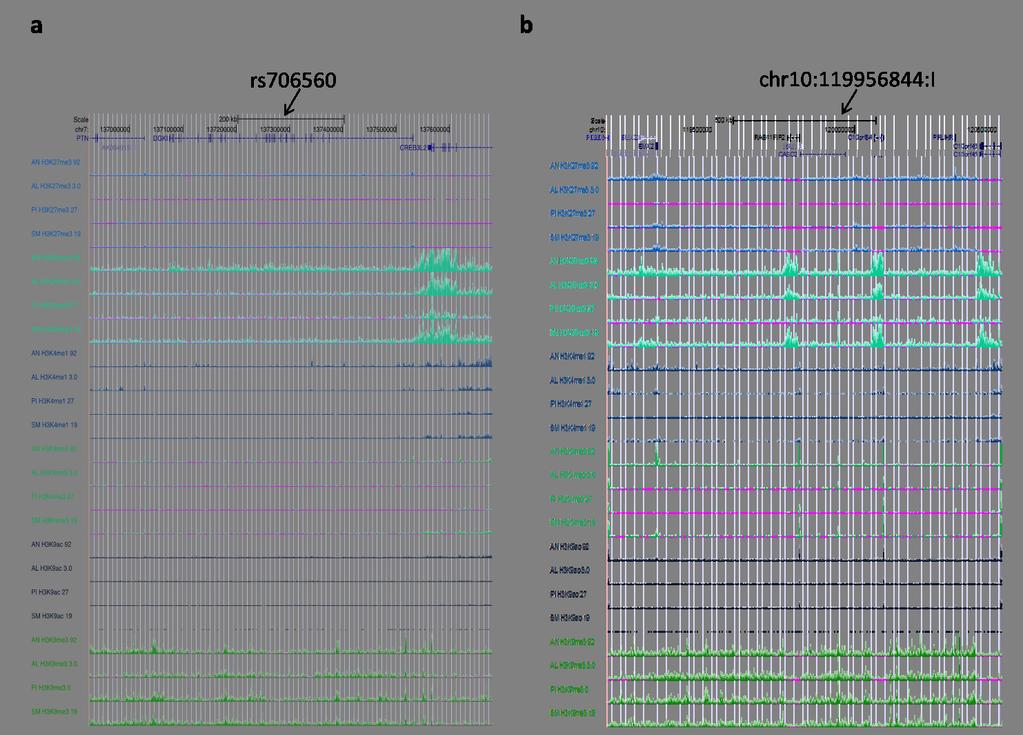 Supplementary Figure 8: ENCODE histone mark profile for GWAS signals genomewide significant after Stages 1 and 2 (http://www.roadmapepigenomics.org/data).