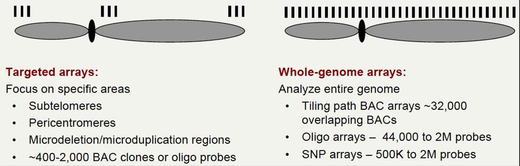 Chromosome Microarray Analysis for studying Copy Number Variations (CNVs) and Regions of Homozygosity (ROH)