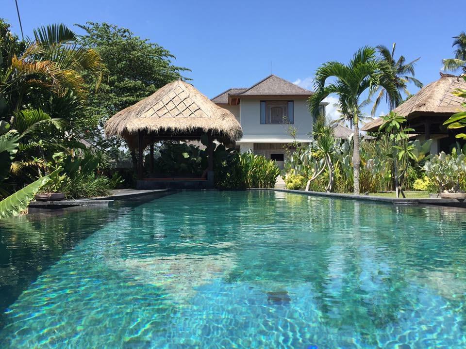 The villas open to stunning views of lush rice paddies, tropical gardens and jungle vistas.