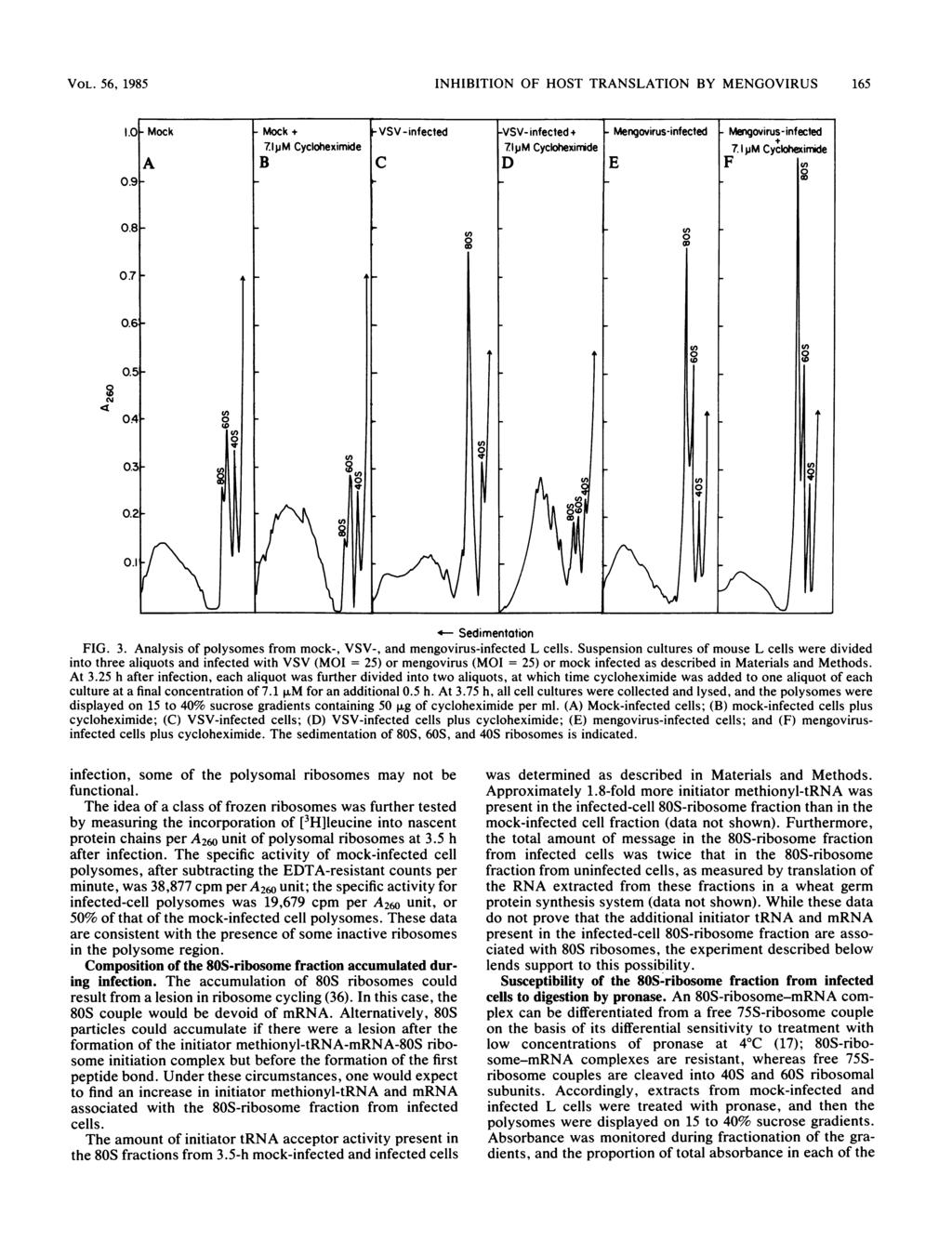 VOL. 56, 1985 INHIBITION OF HOST TRANSLATION BY MNGOVIRUS 165 1. - Mock.9 A -1 - Mock + - VSV - infected 7.