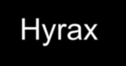 Hyrax permanent