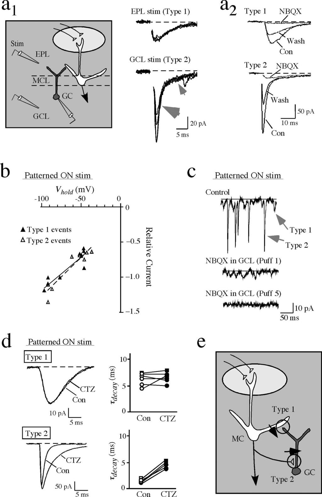 Schoppa Synchronization of Olfactory Bulb Granule Cells J. Neurosci., December 13, 2006 26(50):12996 13006 12999 Figure2. Mechanismsofsynapticeventsingranulecells.
