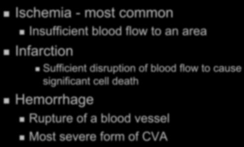 Blood Supply and Stroke Oxygen Extraction Ratio Cerebral Blood Vol.