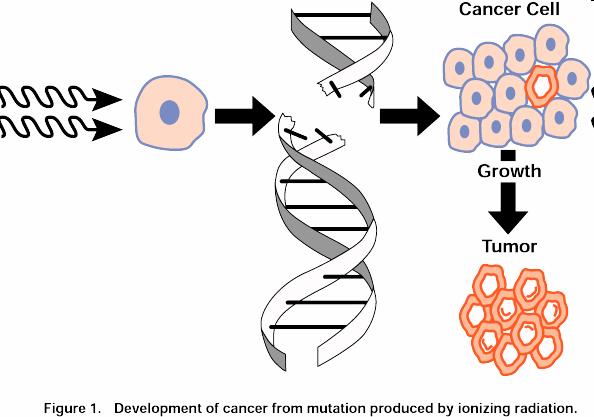 Sustained damage to cells may result, and can trigger cancers after a long latency period Diagram of the leukemia frequency among