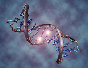 Epigenetics give clues to