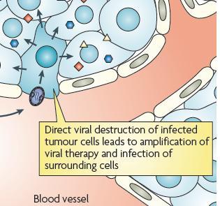 Virus-induced