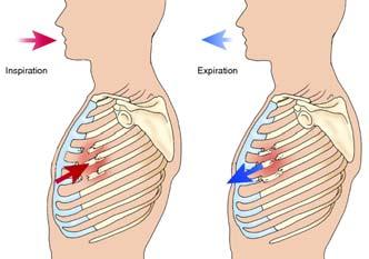Respiratory distress Paradoxic chest wall movement Pleuritic