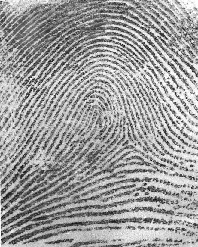 Fingerprints vs. Shoeprints Fingerprints Can t be changed. Consistent throughout whole life.
