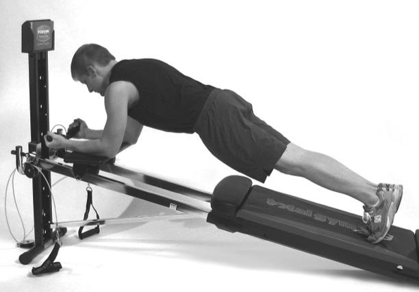 hands/forearms in proper position on the Ab Crunch Board accessory.