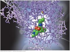 G-protein involved in regulating salt & water secretion G protein stuck in active