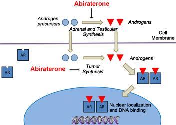 Abiraterone Acetate: an androgen biosynthesis inhibitor that inhibits