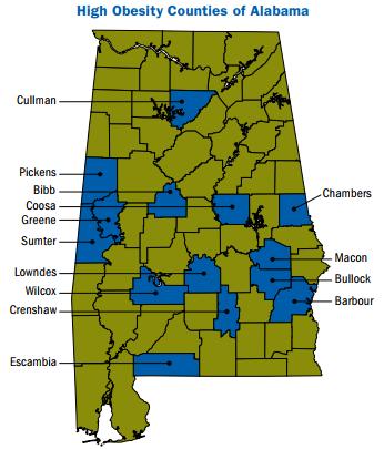 Programs to Reduce High Obesity Areas: Alabama (example) High obesity areas in Alabama range from 40.2 percent to 33.