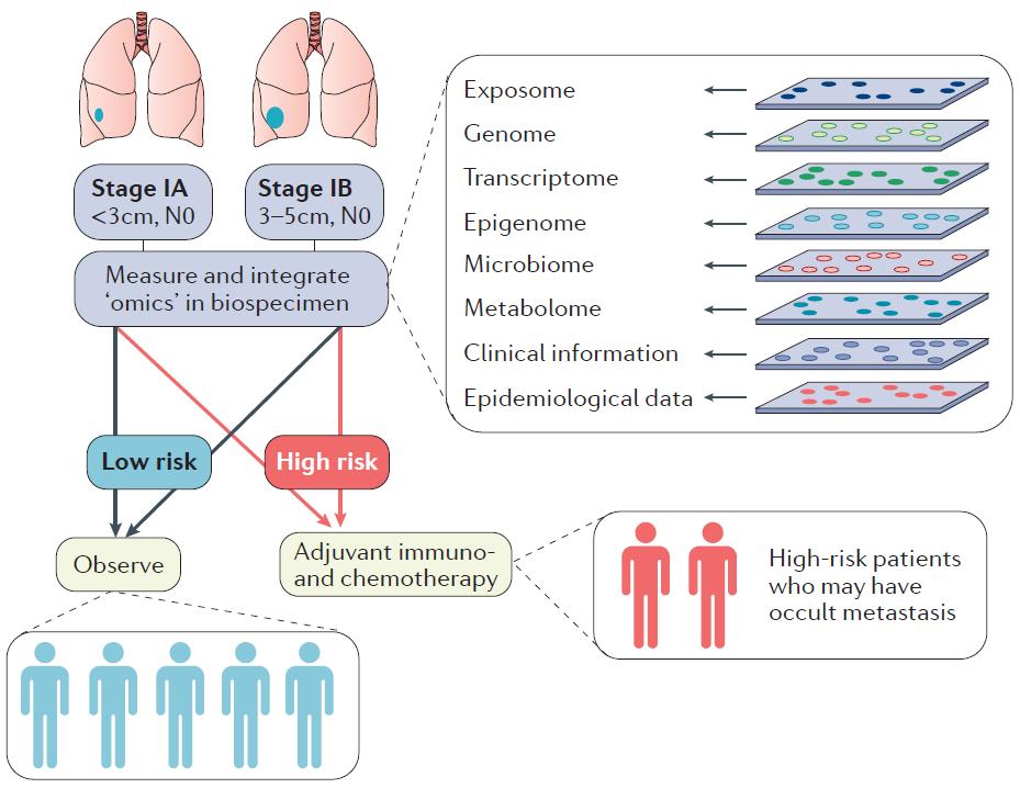 E.g. use of precision medicine to classify early stage (IA and IB) lung cancer by biomarkers that predicts risk of recurrence generated into low risk for recurrence and high risk for