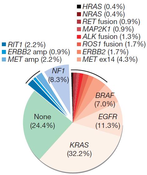 They showed co-mutation plot of variants of known significance within the RTK/RAS/RAF pathway in lung  New