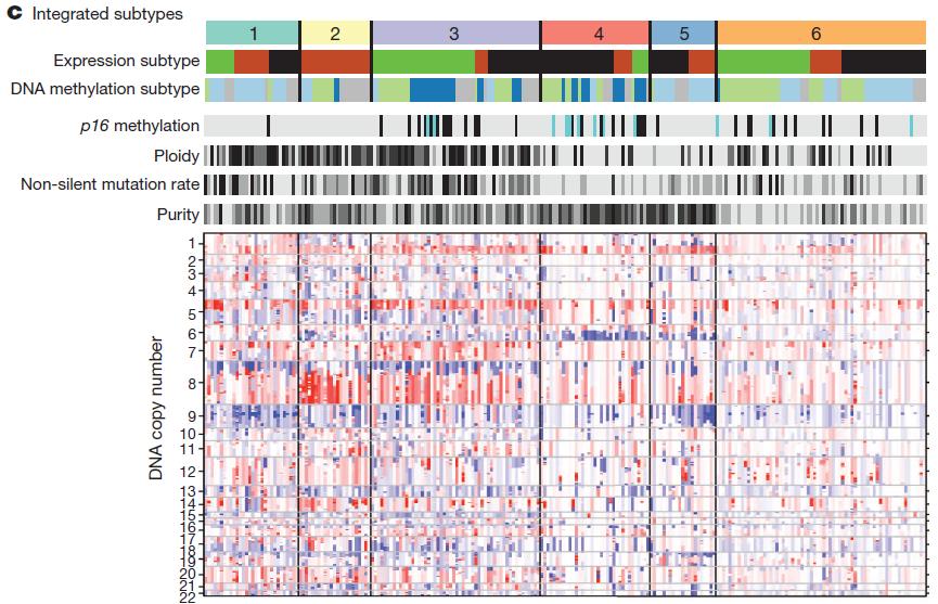 (6) Molecular subtypes of lung adenocarcinoma (Tumors are displayed as columns, grouped by integrated subtypes) Integrative clustering (by icluster analysis) of copy number, DNA methylation and mrna