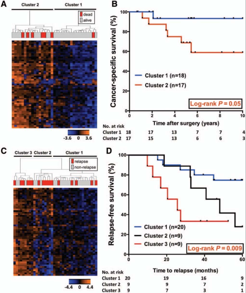 HOXA9 promoter methylation stratifies lung cancer outcome in two independent patient cohorts National Cancer Institute (NCI) microarray cohort Each column represents an individual patient and each