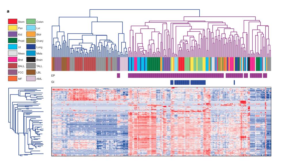 MicroRNA expression profiles classify human cancers microrna