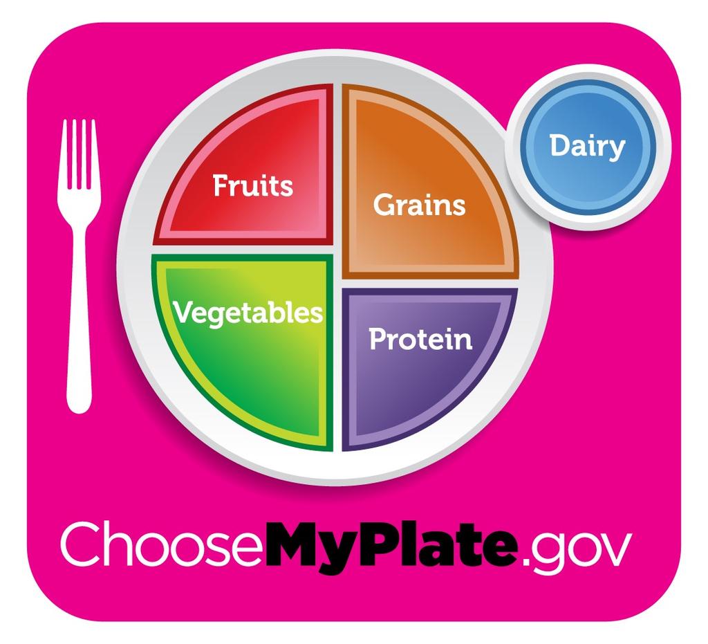 Back to the Basics MyPlate: Do you remember the food pyramid? The food pyramid is now transformed into a plate, titled MyPlate.