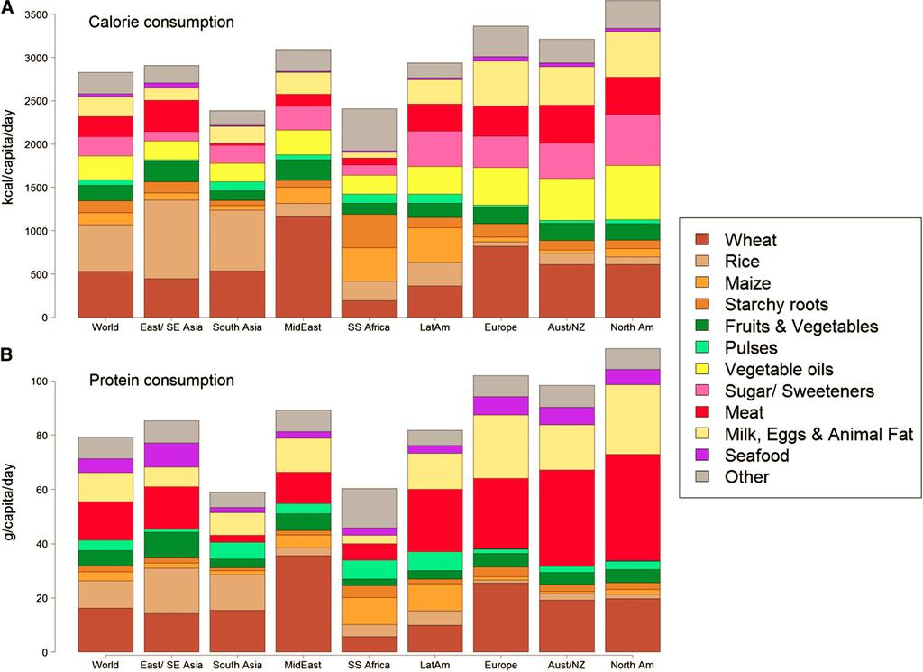 Cereal grains a major component of human diet