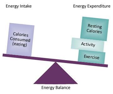 Nutrition for Sport and Exercise Energy Balance and Exercise 1.