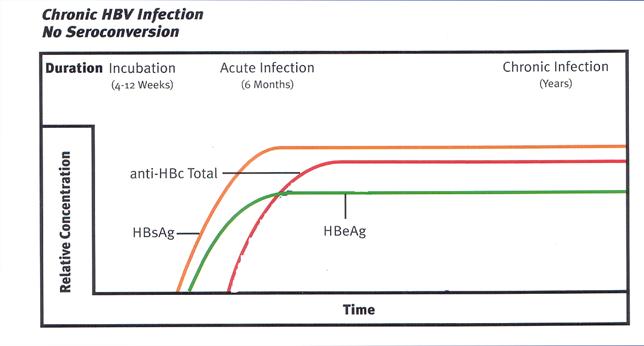 Chronic HBV Infection Chronic HBV Infection Defined as HBV infection > 6 months. Due to failure of the immune response to eradicate the virus. Host immune response determines outcome and liver injury.