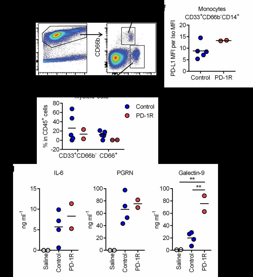Supplementary Figure 7. Characteristics of immune cells from patient samples (a) Inhibitory T cell markers in CD4 and CD8 T cells from human effusion samples.