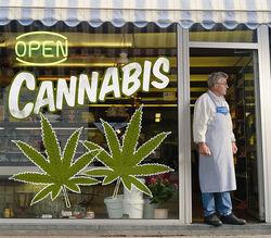 marijuana laws: AK, CA, CO, DC, ME, MA,