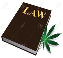 MEDICAL MARIJUANA STATES WHERE RISK IS UNCERTAIN States with medical marijuana laws where employment issues are not addressed and there