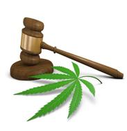 STATES WITH THE MOST RISK FOR EMPLOYERS Up until 2017, employers had always prevailed in litigation involving medical marijuana users.