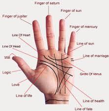 It is the claim and believe that lines and the pattern of the in individual's palm have something to do with their personalities