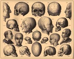 phrenology It is the belief that the bumps on one s head and shape of one's skull determine one's personality, intelligence, and other