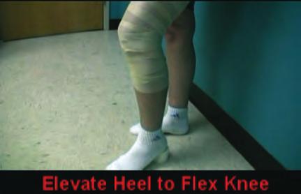 1 (Winter 2009) consisted of evaluation of knee injuries; Part Two Continues on from Part One and consists of taping procedures for the various knee injuries; Part Three Will be in the 2009 Summer