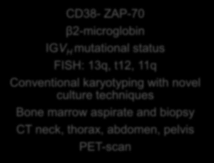 Rai-Binet CD38- ZAP-70 β2-microglobin IGV H mutational status FISH: 13q, t12, 11q Conventional