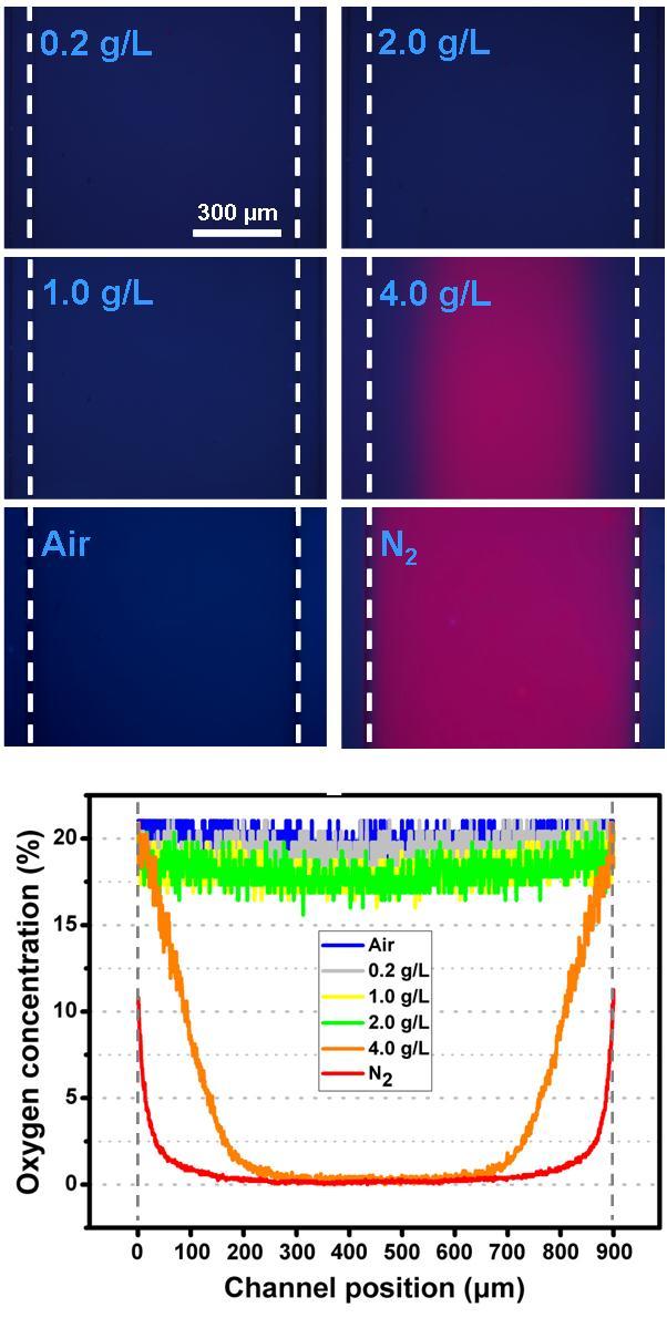 Fig. S2. Na 2 SO 3 -aided and PtOEP-visualized oxygen control in the 900 μm microchannel. Na 2 SO 3 was tested at 0.2, 1, 2, and 4 g L -1.
