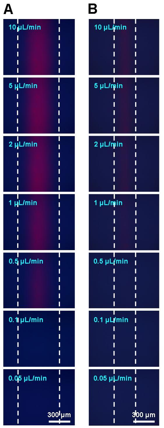 Fig. S4. The phosphorescent images of oxygen gradients in the 600 μm and 300 μm channels at various flow rates (0.05 µl min -1 to 10 μl min -1 ).