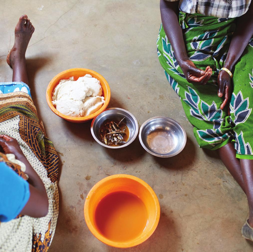 9 Food hygiene Up to 70% of diarrhoea in developing countries is said to be caused by pathogens transmitted through food, especially contaminated weaning foods.