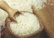 Several requirements for successful rice