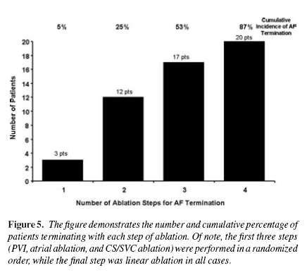 Catheter Ablation of long-lasting persistent