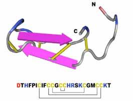 Hepcidin: the key iron hormone Liver peptide secreted as a precursor of 84 aminoacids.