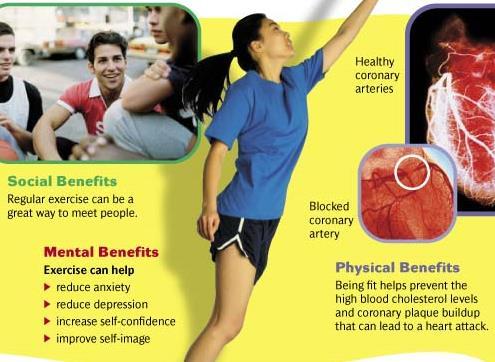 Physical Benefits Exercise improves appearance and makes you feel good Heart and lungs get stronger (better blood and oxygen circulation) Blood cholesterol levels are healthy, blood vessels are kept
