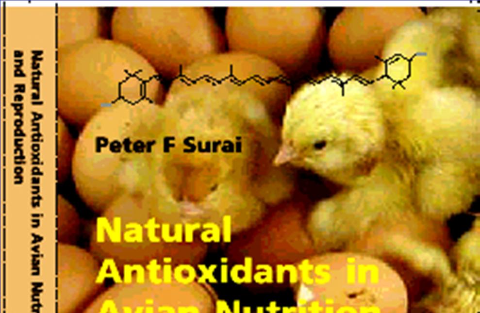 Antioxidant team All antioxidants in the body are