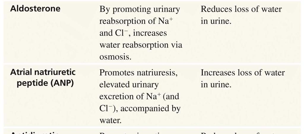 excess body water causes cells