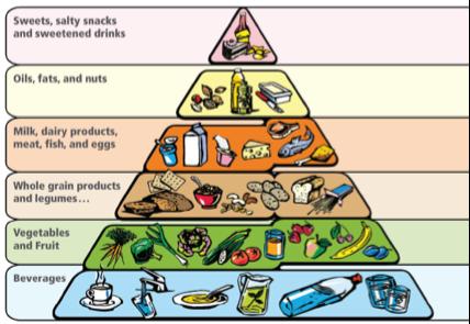 Food Pyramid Generic RDI 1-2 treats per week 1 serving of each per day 3 servings of dairy / 2-3 servings meat etc Red meats 3 x per week / Oily fish 3 x per week 6 servings