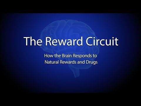 The Science of Substance Use Disorders Watch this video to see how