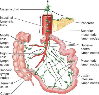 Lymph Drainage Of Jejunum & Ileum 3 groups of lymph nodes. 1. Juxta intestinal: located close to abdominal wall. 2.