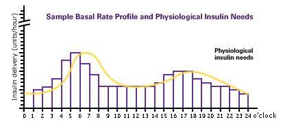 Try reducing the number of basal rates Frequent basal rate changes are now possible and popular with some pump users After changing the basal rate, it takes about 6 h